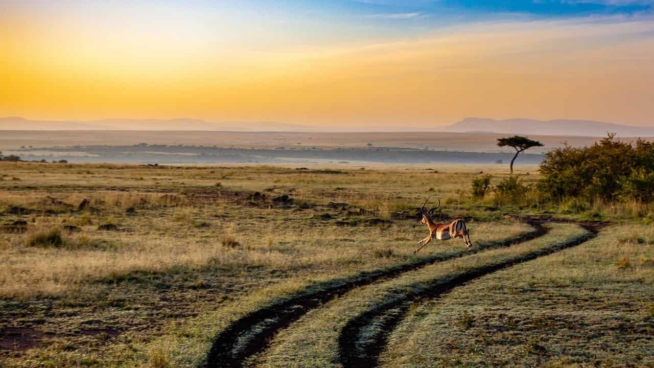 kenya